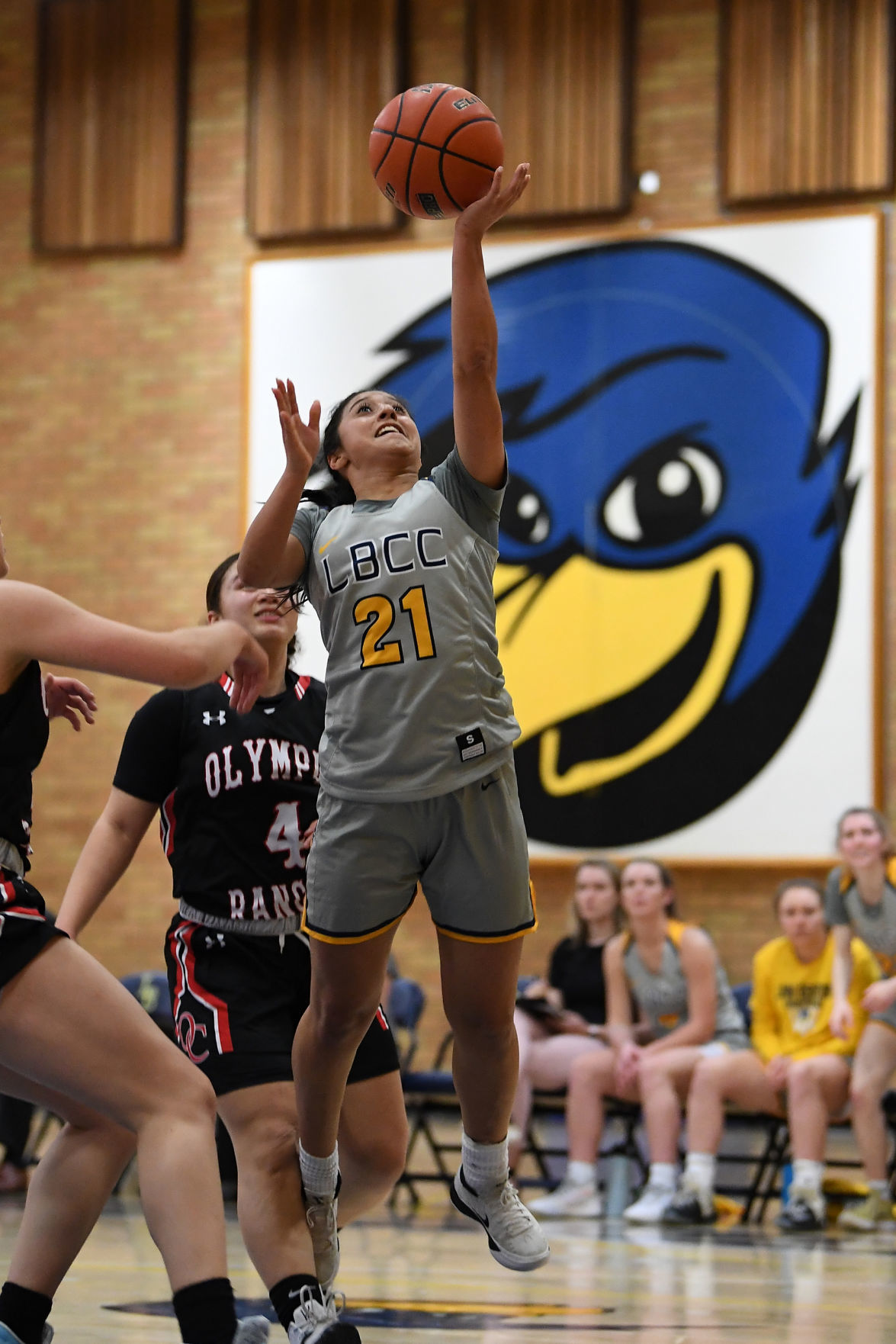 122019-dh-gallery119-spt-lbcc womens bb-leonn.JPG